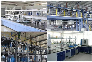 高效管理，助力成長——?dú)g迎探索企業(yè)管理咨詢的專業(yè)價(jià)值